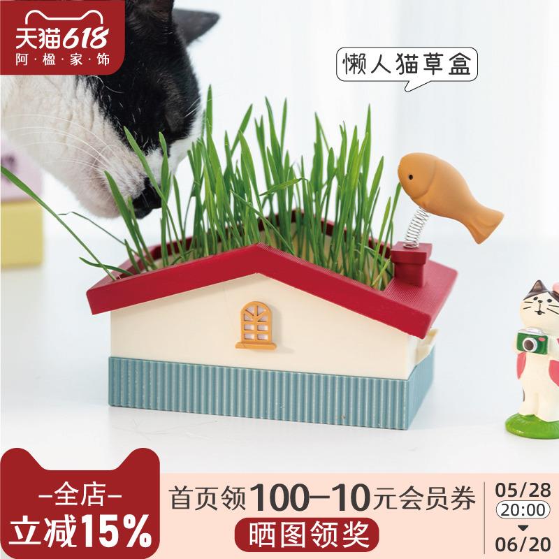 阿楹 懒人猫草盆栽自种无土小麦种植水培盒猫咪化毛球育苗专用盆