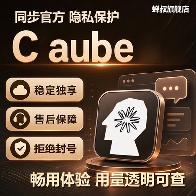 Claude独享编程工具长期安装服务