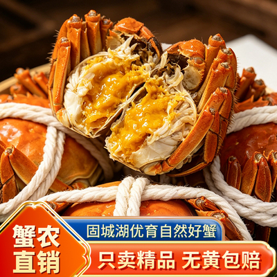 【全母】清蒸活蟹无黄包赔