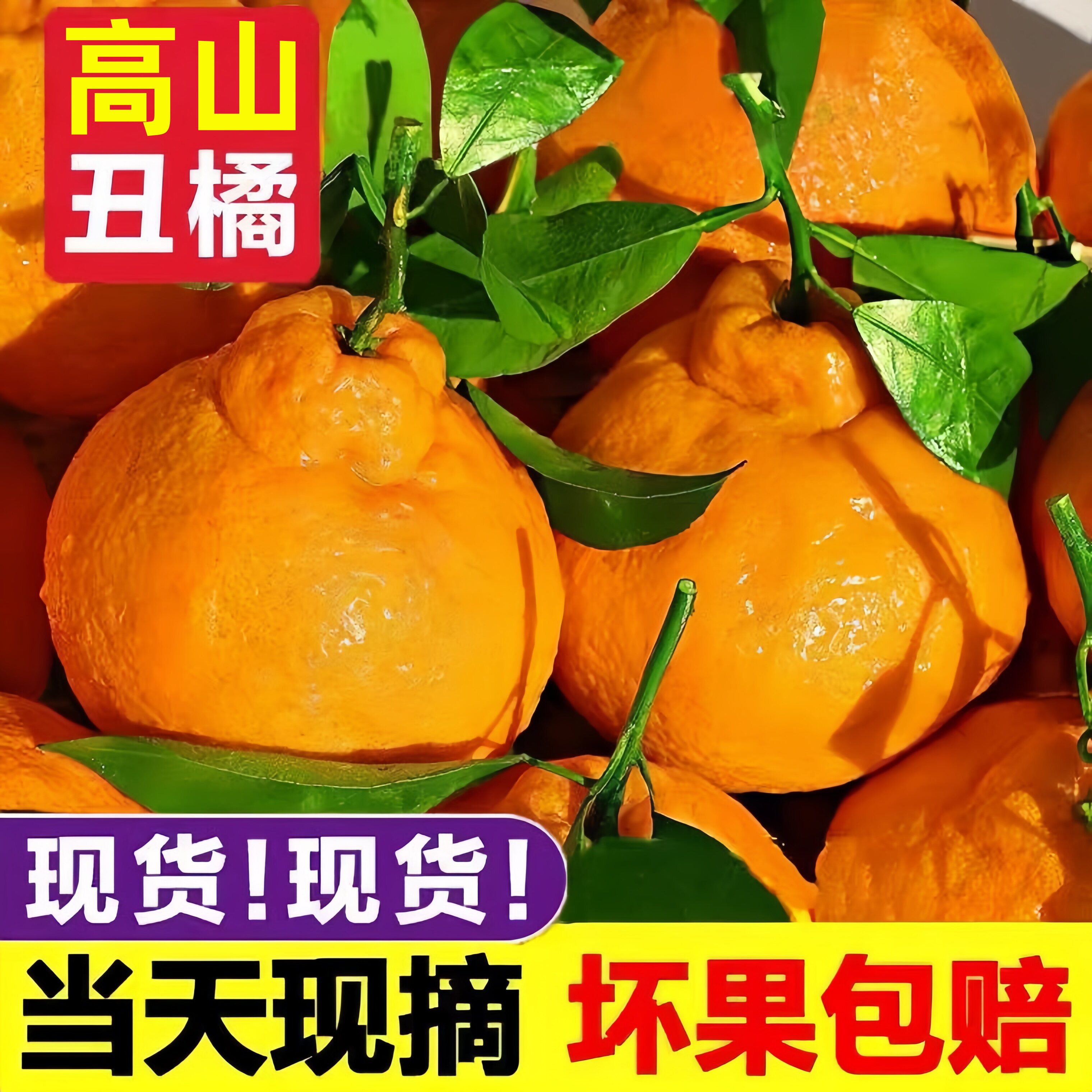 现摘高山丑橘丑八怪橘子当季新鲜水果薄皮多汁粑粑柑整箱桔子包邮