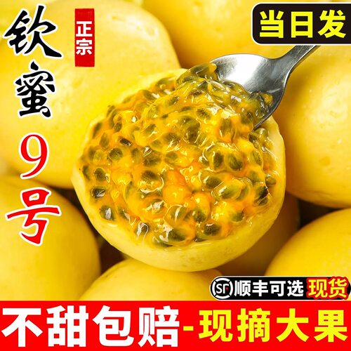 纯甜不酸钦蜜9号黄金百香果