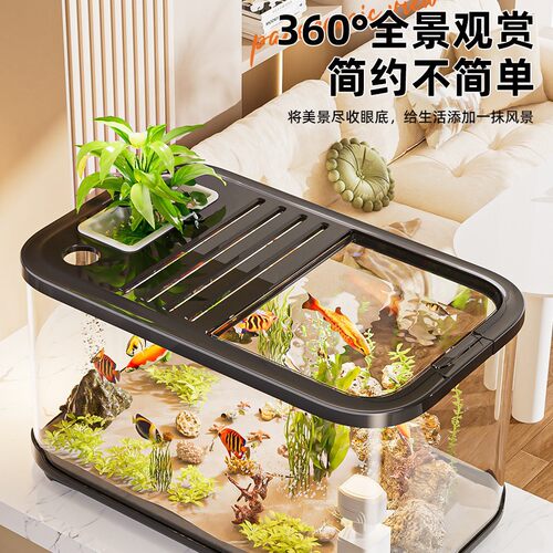 带盖透明大号桌面塑料生态缸