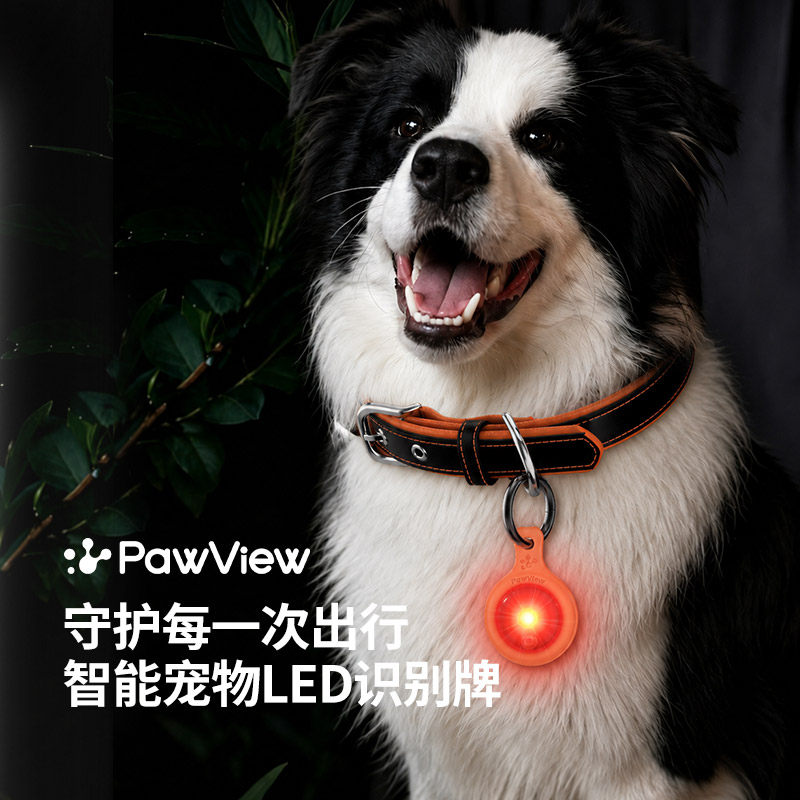 猫狗项圈发光防丢灯耐摔夜间出行