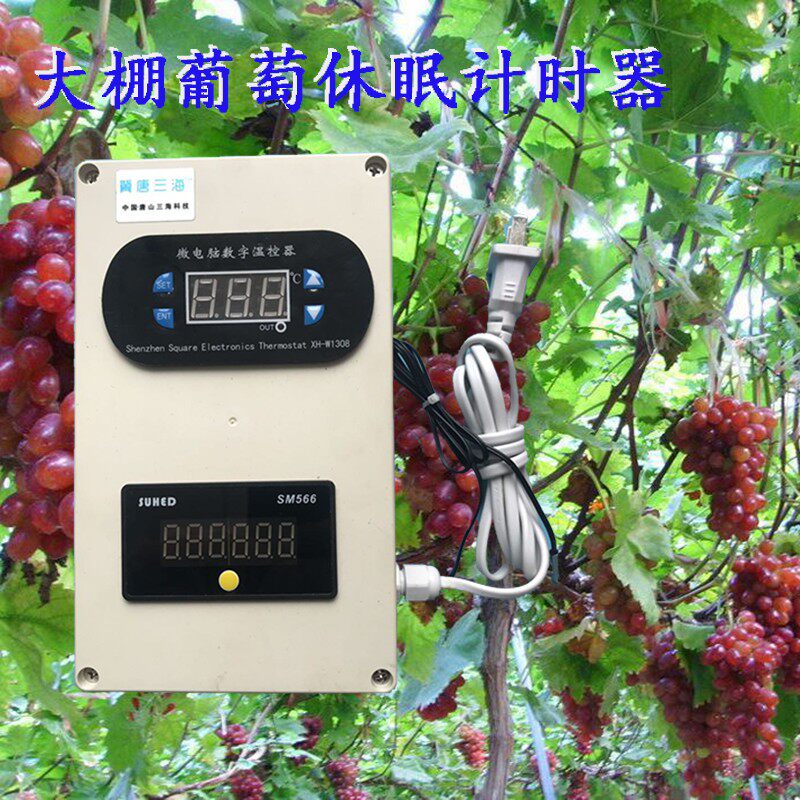 大棚农作物休眠期温度计时器蓝莓累记樱桃葡萄桃树果树休眠记时器