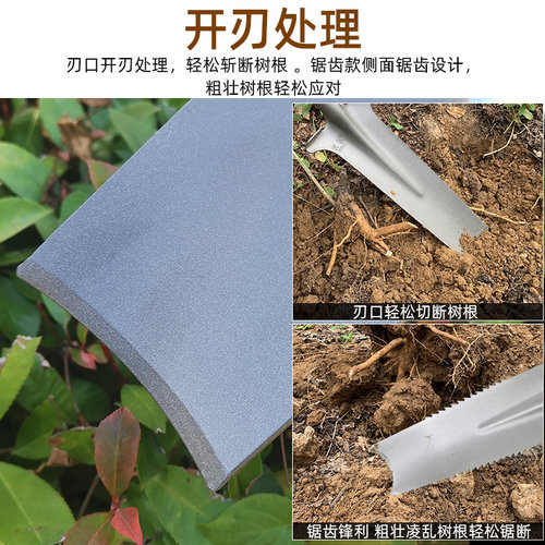 两侧锯齿加宽版挖树铲 适用于园艺的铁锹 洛阳铲挖土工具 农用松