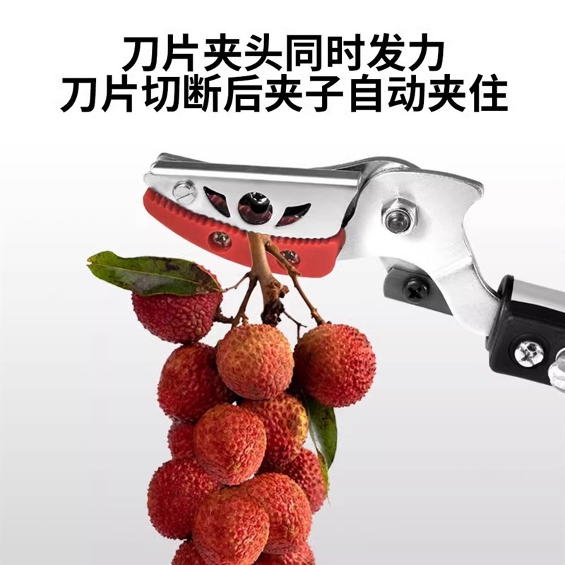 摘枇杷神器伸缩杆高空采摘水果子荔枝龙眼樱桃杨梅新款高枝剪刀头