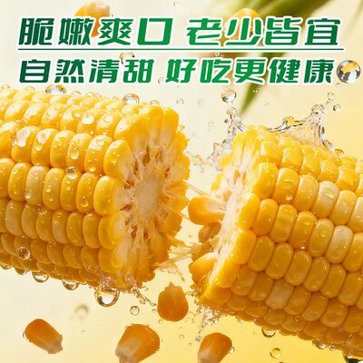 寻山语真空袋装云南甜脆水果玉米