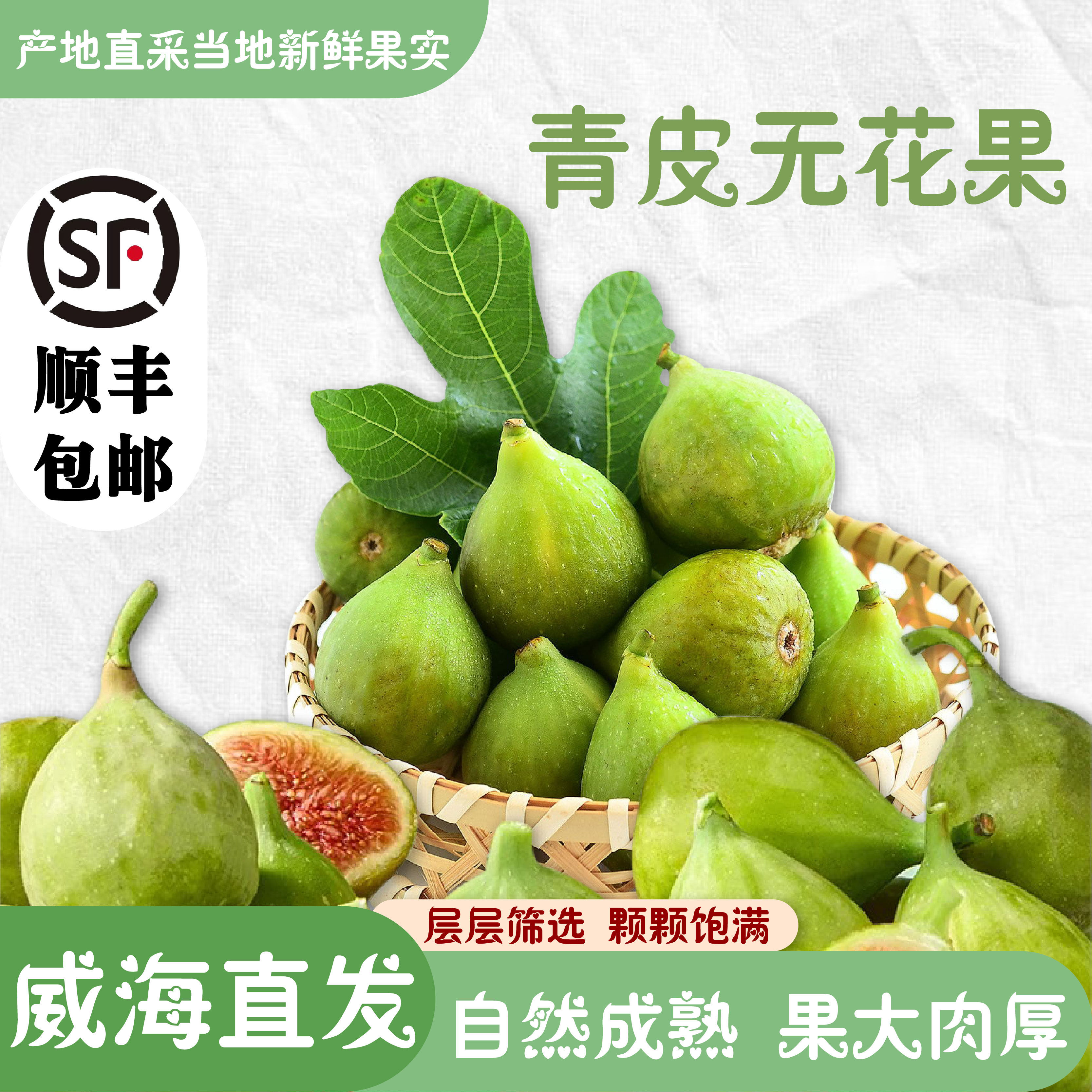 鲜无花果新鲜现摘青皮无花果鲜果应季水果当季顺丰包邮产自山东