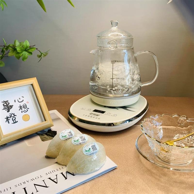 全自动炖燕窝专用花胶鱼胶炖盅隔水玻璃炖锅电家用小型燕窝机新款