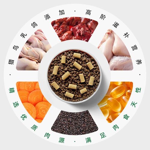 哈维尼全期冷压乳鸽猫粮营养滋补高蛋白无谷生骨肉繁育成幼通用粮