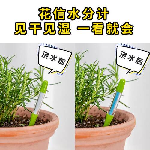 花信水分计SUSTEE土壤水分计植物水份计湿度计检测仪养花懒人浇水