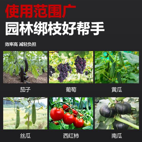 新款农用西红柿绑枝机绑葡萄绑黄瓜胶带钉子藤蔓捆绑机绑枝神器