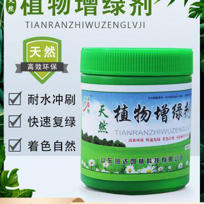 天玲草皮增绿剂草坪染色剂植物着色剂枯草一喷就绿色增色剂不伤草