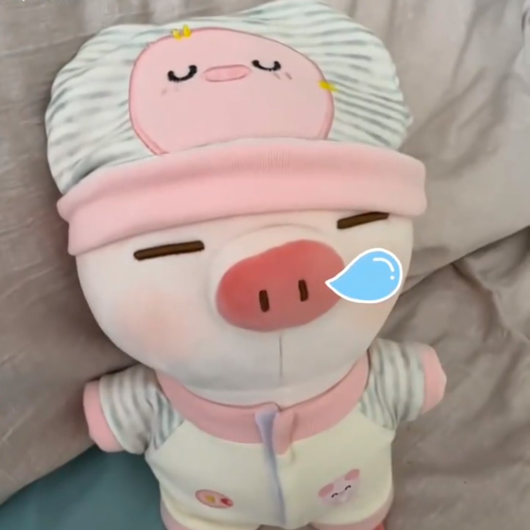 可爱软萌小猪毛绒公仔生日礼物