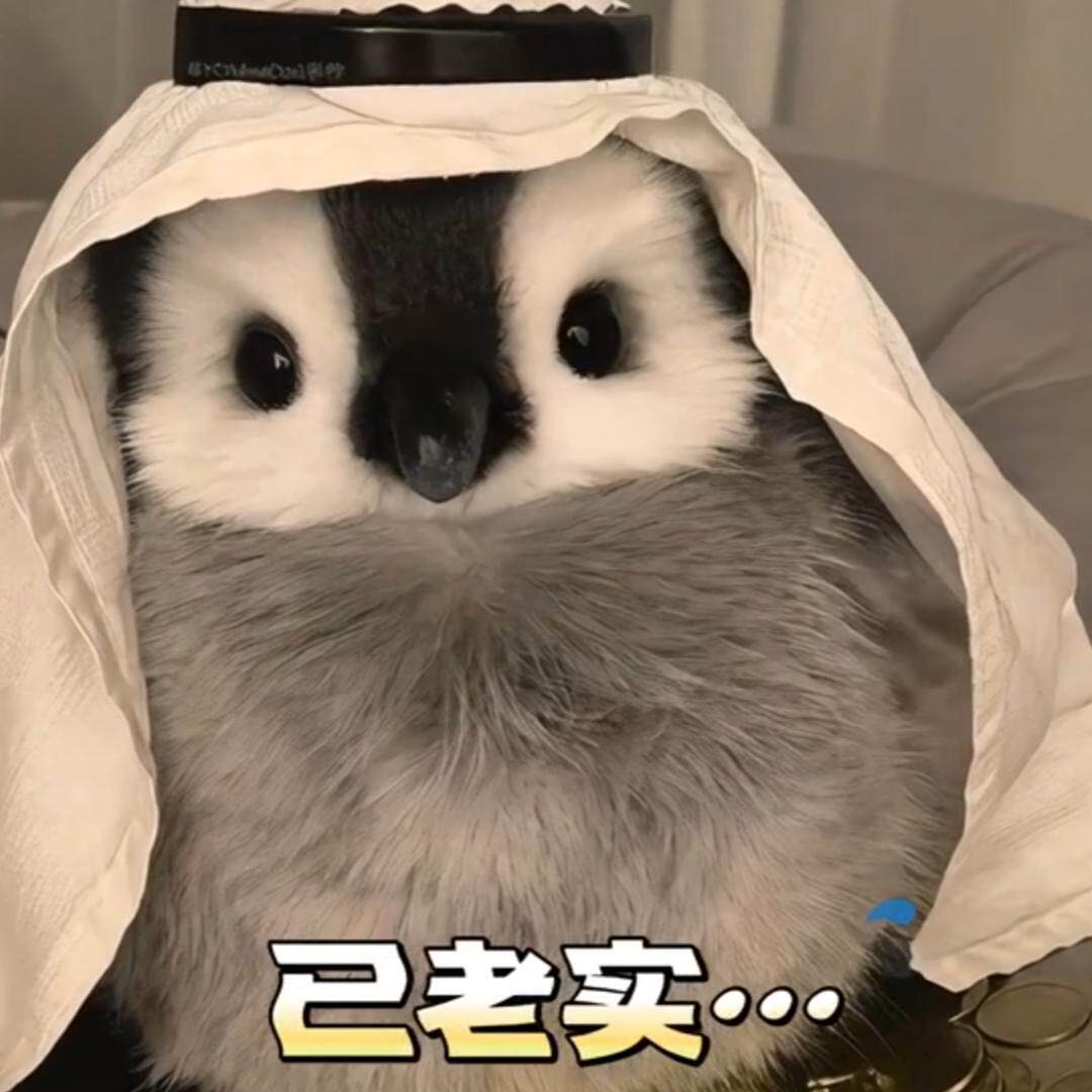 萌趣企鹅抱抱软绒公仔生日礼物