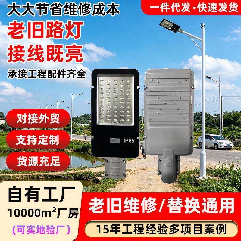 LED小金豆路灯30W100W路灯头户外乡村道路照明新农村挑臂路灯