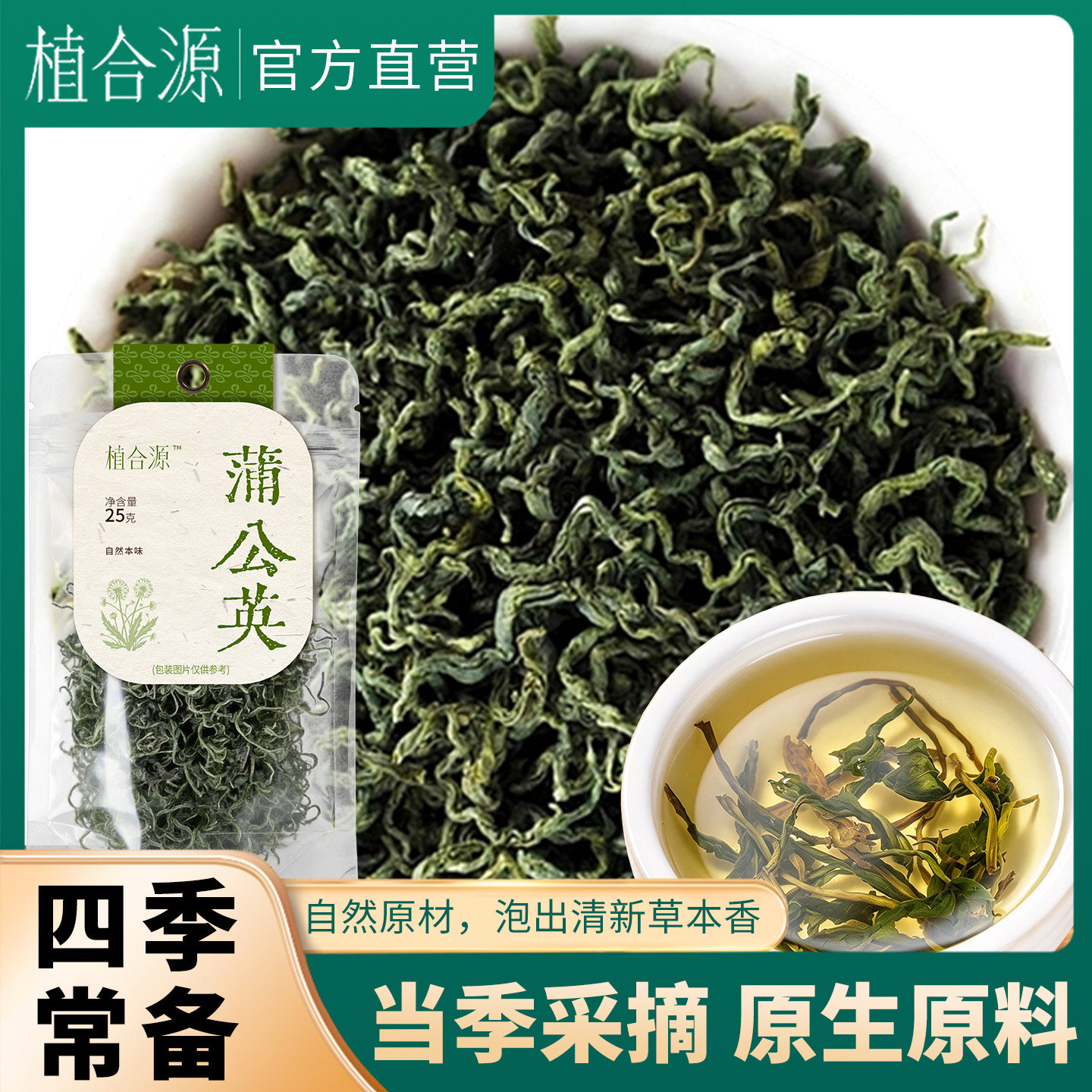 蒲公英新货头茬婆婆丁
