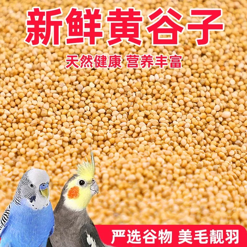 鸟粮新黄谷子中小型鹦鹉饲料食虎皮玄凤牡丹带壳小米食物粮食5斤
