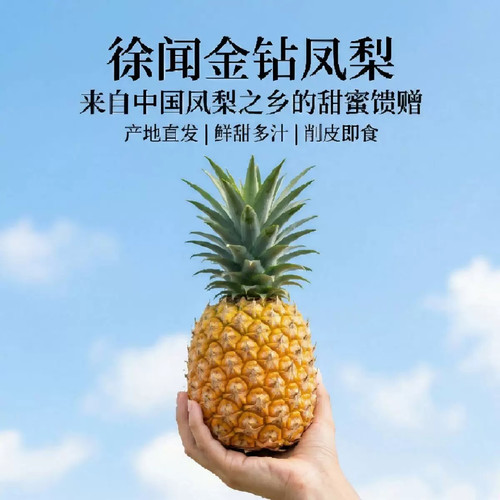 广东徐闻特产17号金钻凤梨新鲜水果菠萝蜜凤梨整箱中秋礼盒装精品