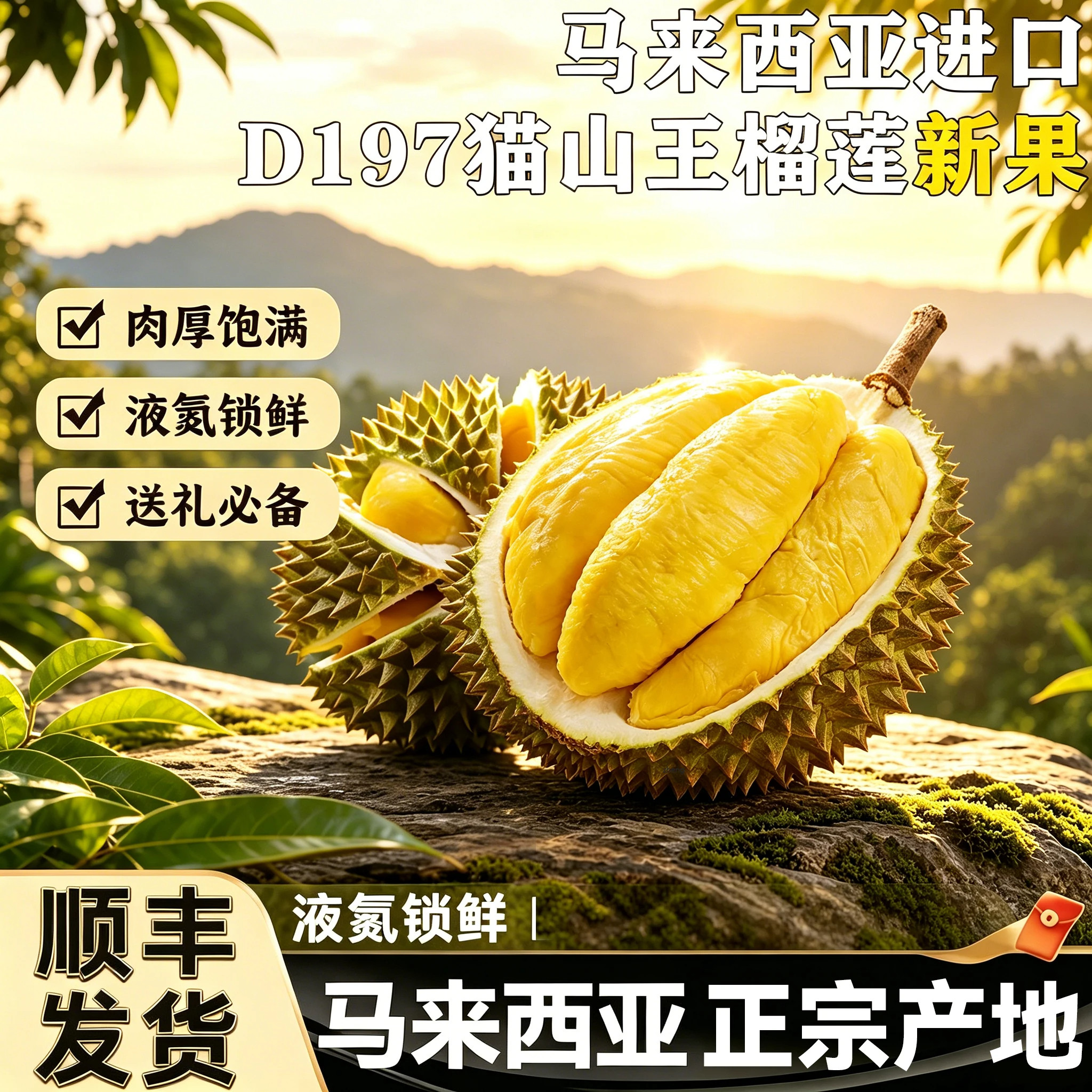 马来西亚D197猫山王榴莲水果树上熟带壳新鲜液氮正品进口顺丰包邮