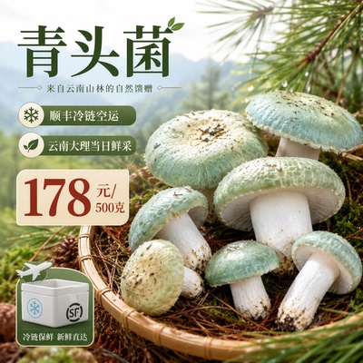 【青头菌】云南大理绿菇青盖子青冈菌新鲜野生菌鲜货顺丰冷链直发