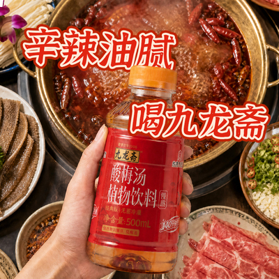 九龙斋乌梅酸梅汤饮料8瓶