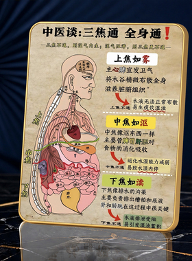 中医三焦养生馆科普摆件