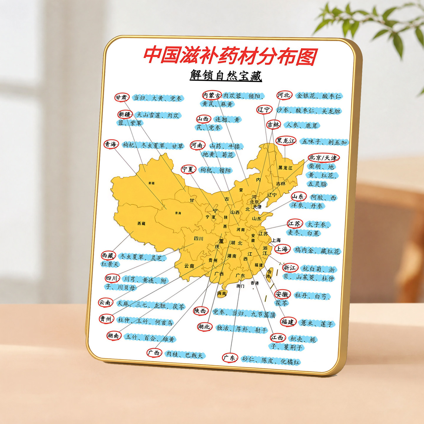 中国滋补药材分布图带框装饰画中医馆养生馆中药材科普挂画