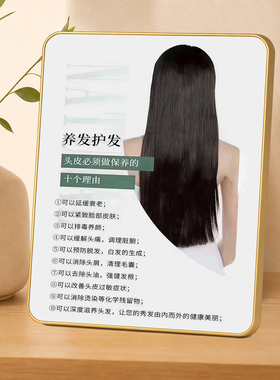 美发店头皮养护科普引导摆件
