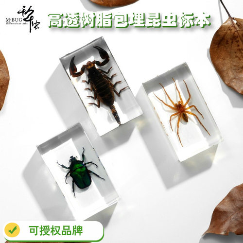 50+透明树脂昆虫标本书镇成品