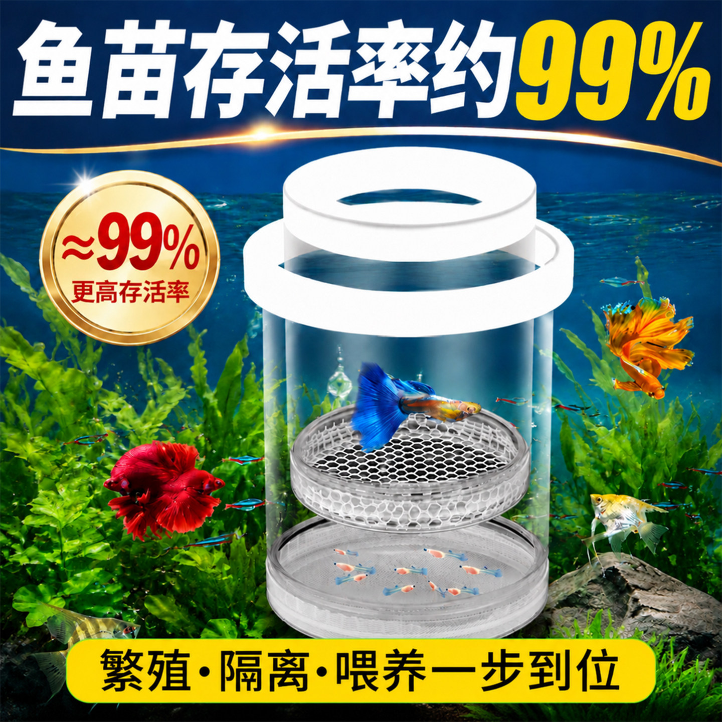 孔雀鱼隔离繁殖盒鱼缸内孵化鱼苗斑马鱼小幼鱼母鱼产房悬浮漂浮式
