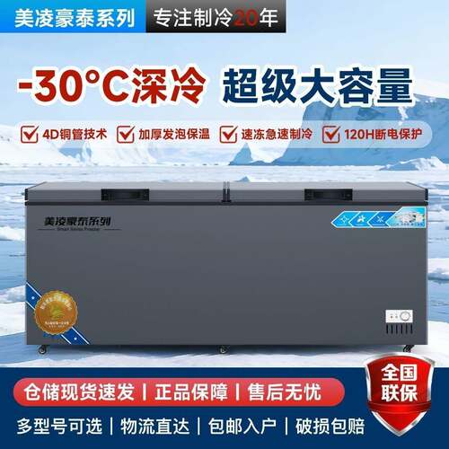 冰柜冷藏冷冻商用大容量铜管卧式节能冷冻柜温现货厂家直销