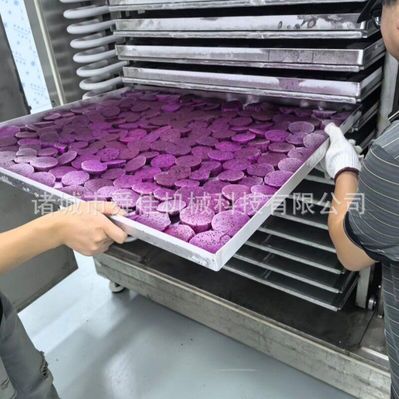 螺旋藻草低温真空烘干机榴莲加工设备零食机水果冻干机