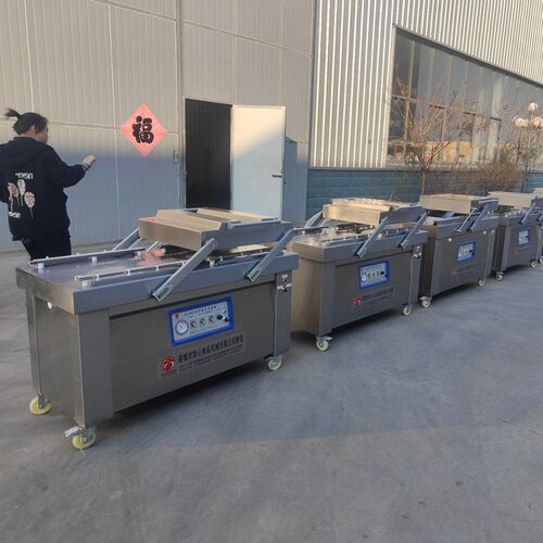 DZ-600/2S型真空包装机全自动双室商用真空封口机厂家供应