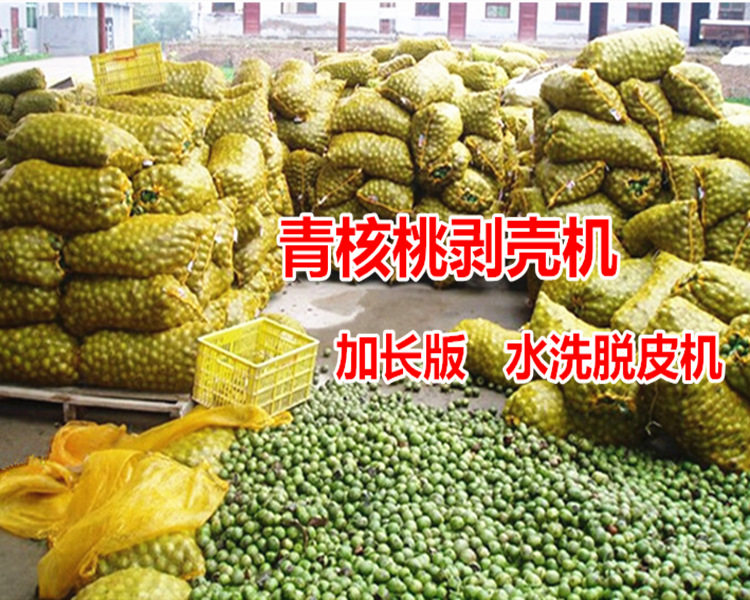 家用小型核桃去皮机小型青皮核桃去皮机核桃去青皮机