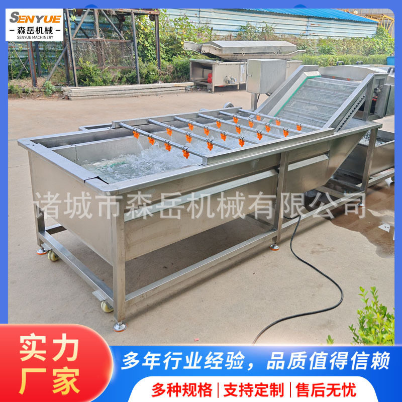 黄花菜清洗机蔬果清洗商用气泡洗菜机净菜清洗流水线木耳菜清洗机