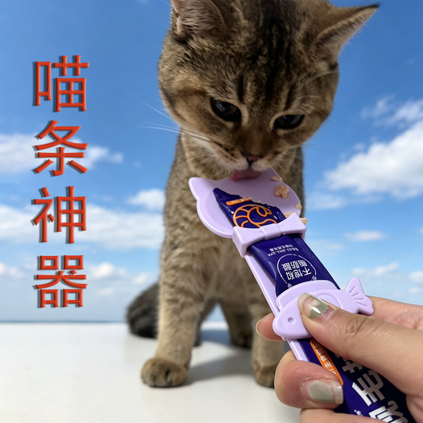 猫条喂食器猫条挤压喂食勺宠物用图片