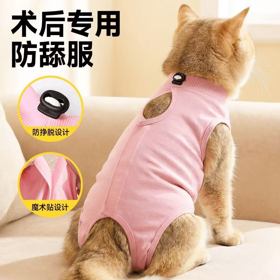 莫代尔纯棉轻薄衣柔软猫咪绝育服图片