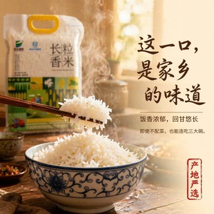 湖北农发长江绿地长粒香米500g