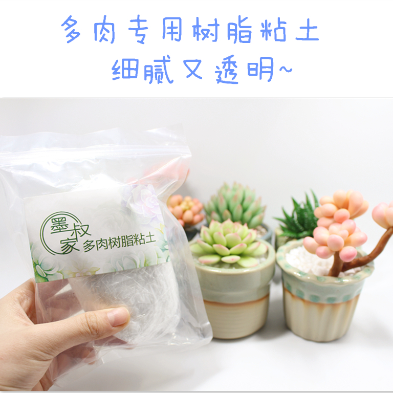 墨叔家专为粘土多肉树脂粘土
