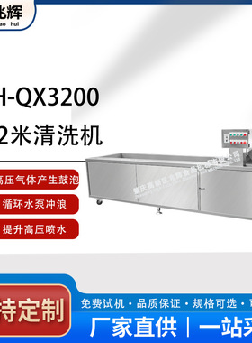 全自动果蔬气泡清洗机商用高压喷淋洗菜机果蔬海鲜气泡清洗机
