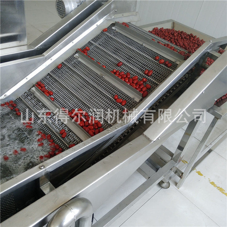 行唐大枣清洗机红枣加工成套设备保持口感质量得尔润机械