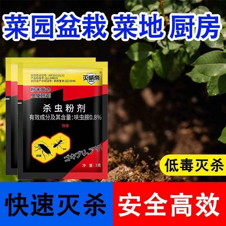 蚂蚁药室内外全窝家用非无毒一锅正品端除灭蚁专用粉末饵剂杀虫剂