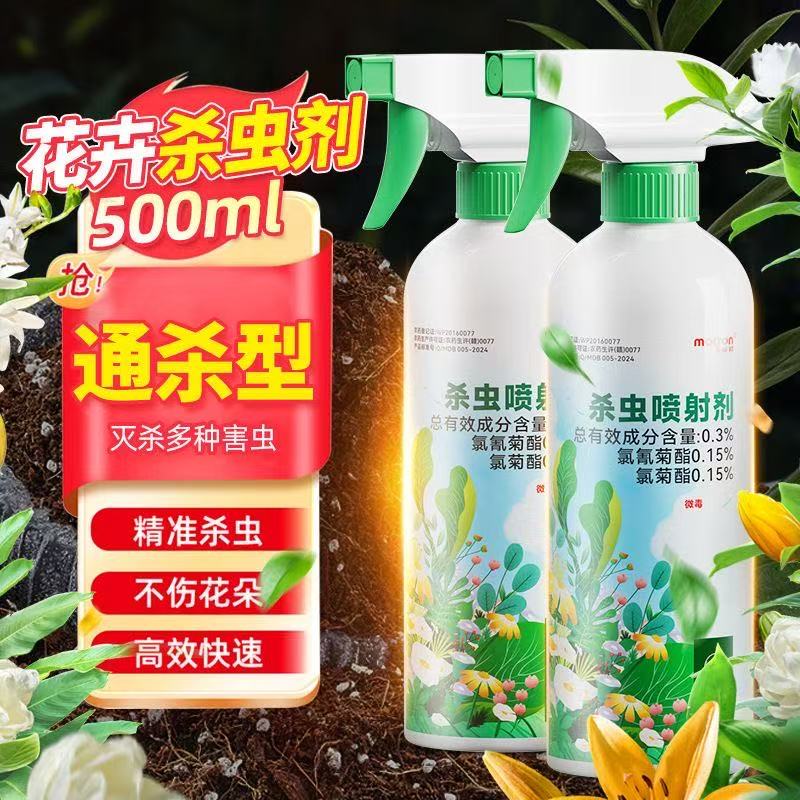白色小虫子飞虫蜜虫杀虫花多肉上长的有蝴蝶兰花卉叶子的花里有灭