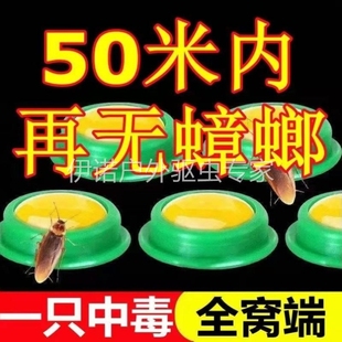 防曱甴药饵粉强力甲由药蟑蝻药樟榔药璋螂蟑啷药灭獐狼药蟑螂厨房