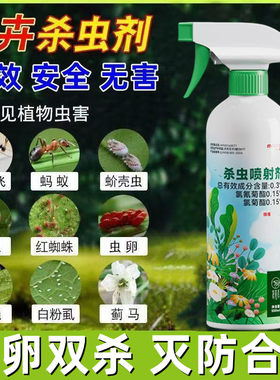 蚧壳虫专用药蚧必治幸福树兰太阳花多肉杀虫剂花卉植物药剂介壳虫