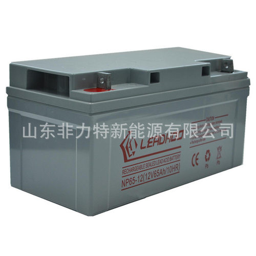 利虎胶体电池12V55AHLEA