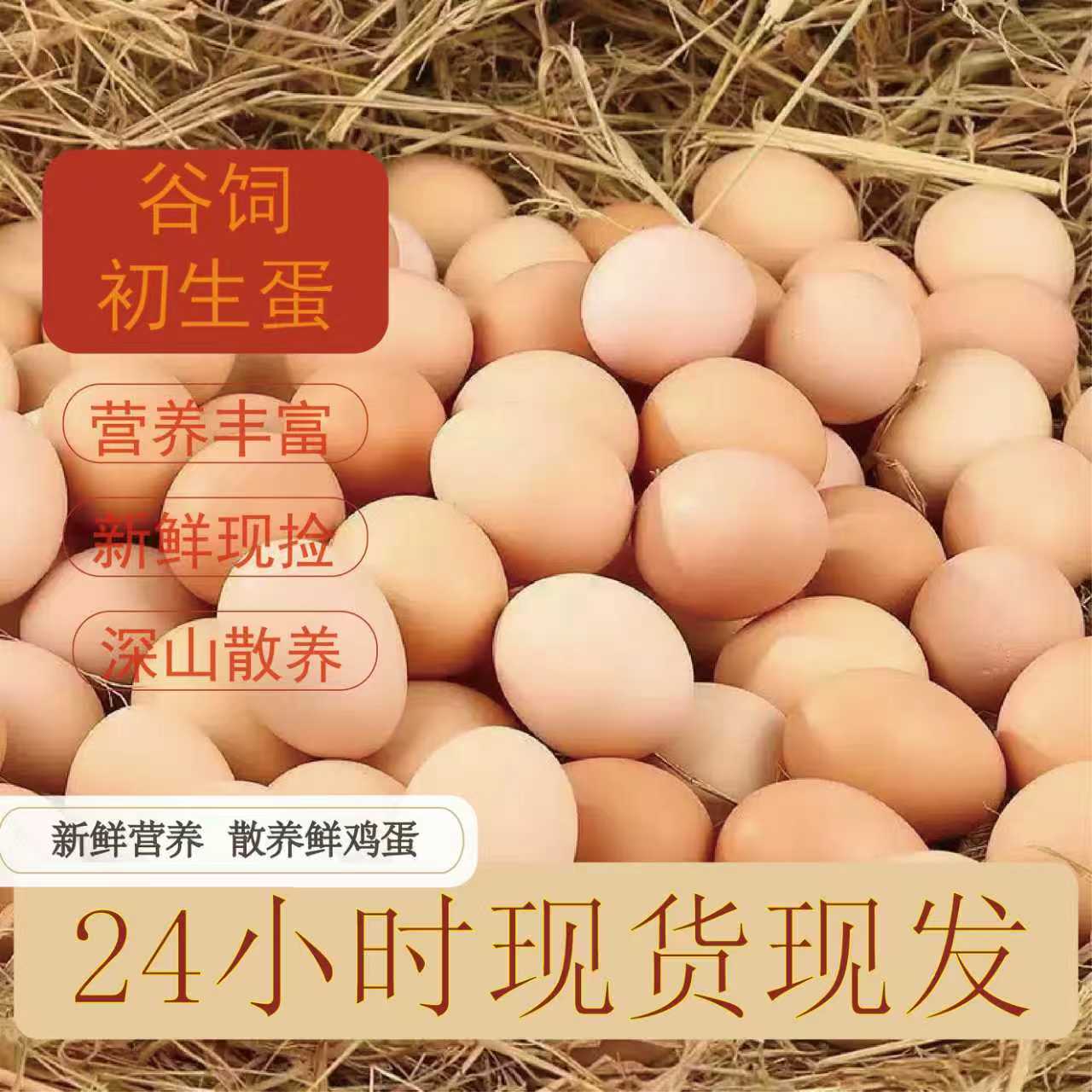 正宗农家散养柴鸡蛋新鲜整箱包邮