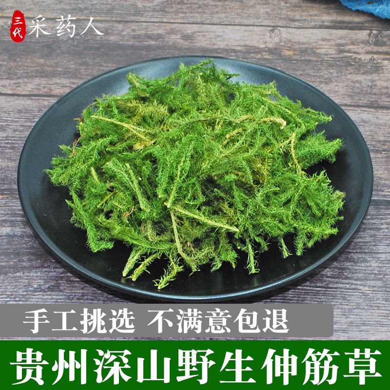 贵州野生新货伸筋草材500gv