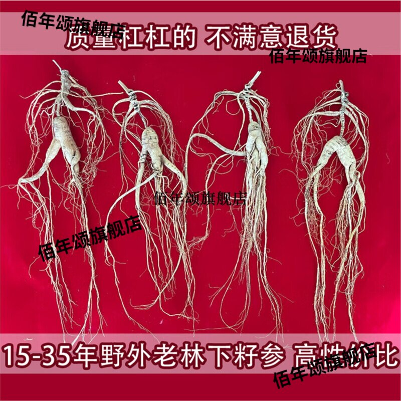 长白山林下参25年老泡酒干参